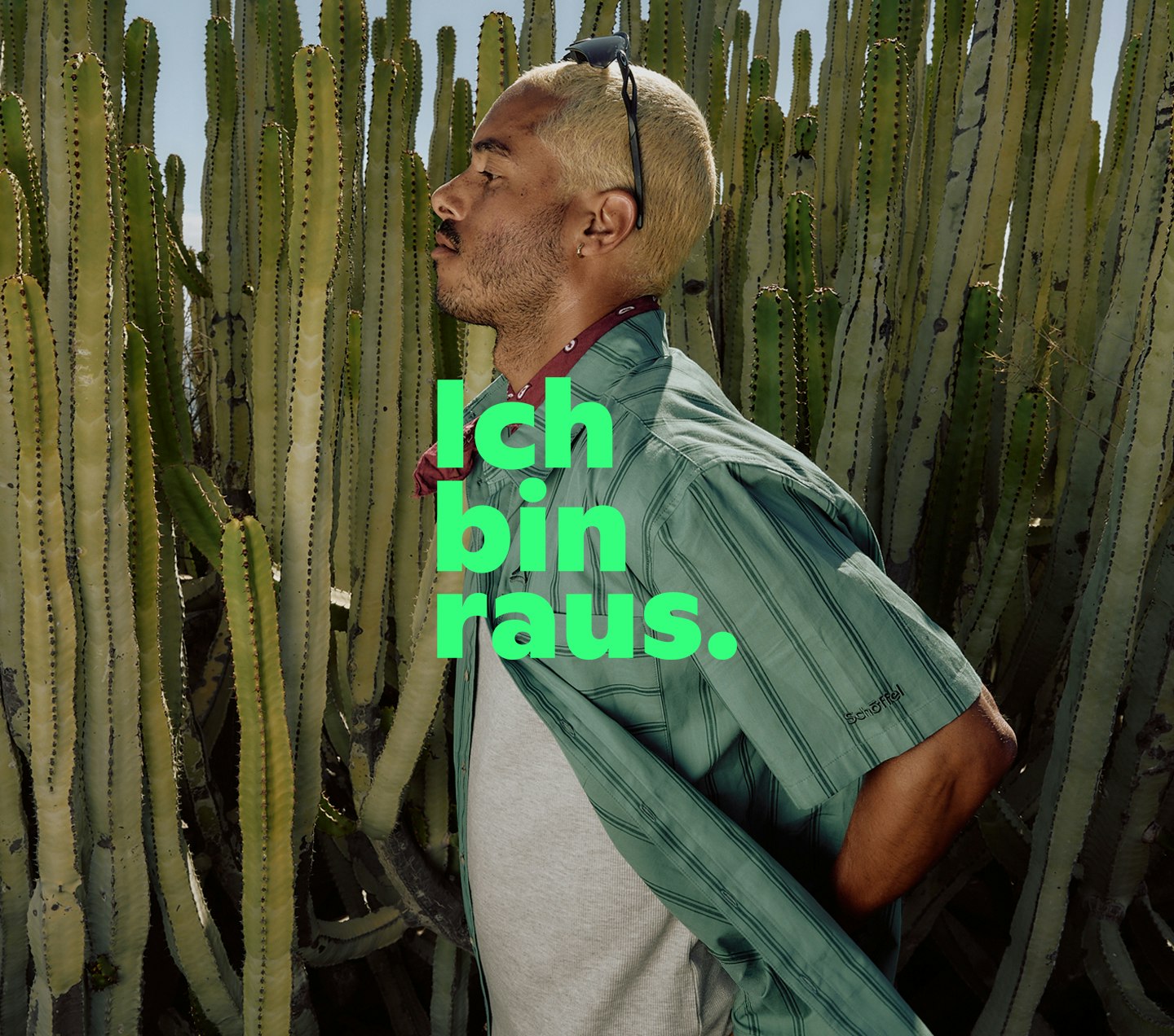 Mann stehend in Kaktusfeld, Spruch: "Ich bin raus."