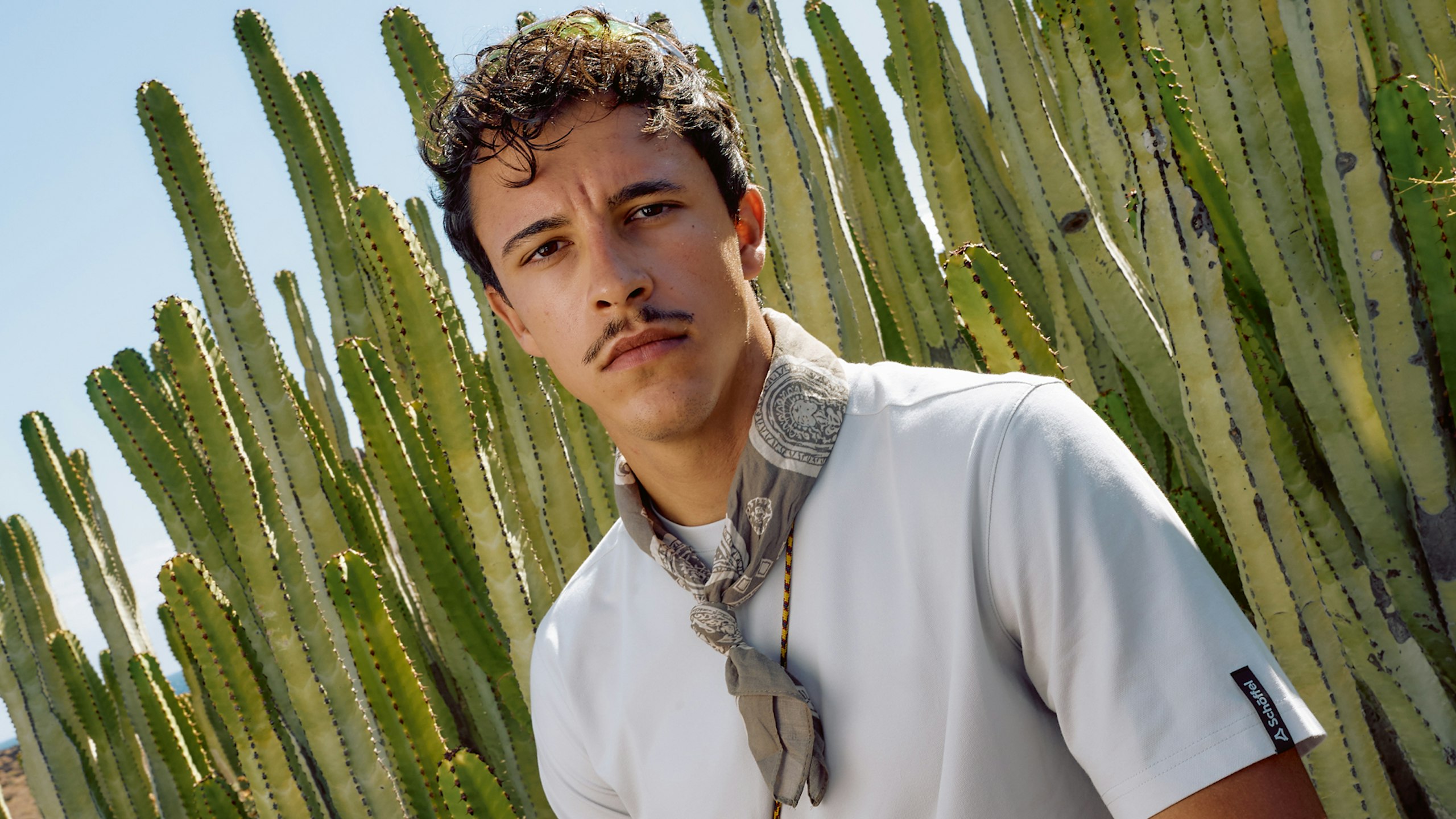 Mann stehend vor Kaktusfeld - ernster Blick im Sommer